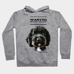 Cockapoo / Doodle Dog Sock Thief Hoodie